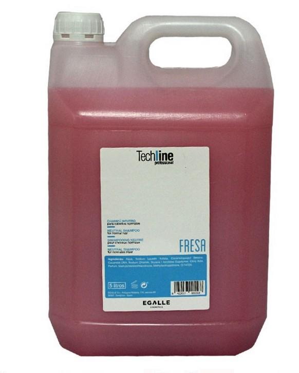 Anea Techline Champu Fresa Garrafa 5 Litros Ref. Ch000008
