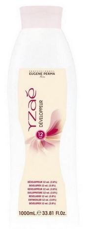 Yzae Developpeur 12vl 1litro 3,8 21028801