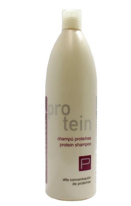 Liheto Champu Especial Protein 1 L. Lie