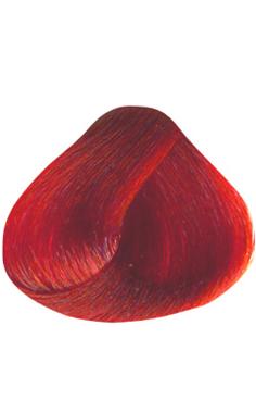Nirvel Tinte Arco Iris Rojo 60 Ml. Ref. 7303
