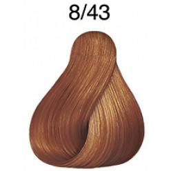 Wella Tinte Color Touch 8.43 Rubio Claro Cobrizo Dorado
